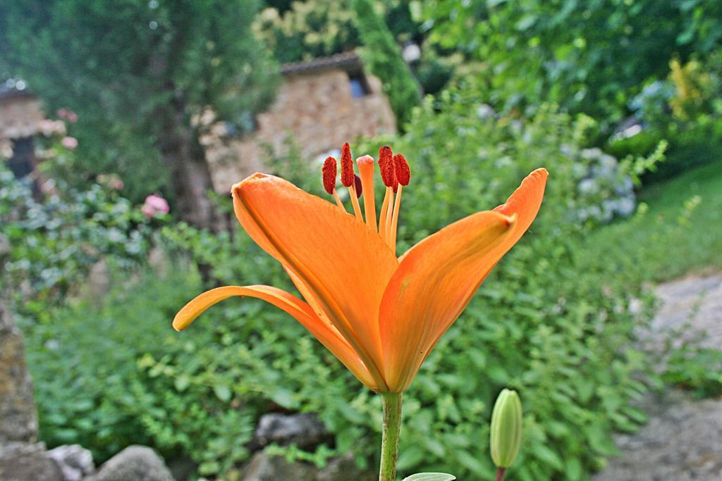 Finca El Carpintero Jerte Zewnętrze zdjęcie