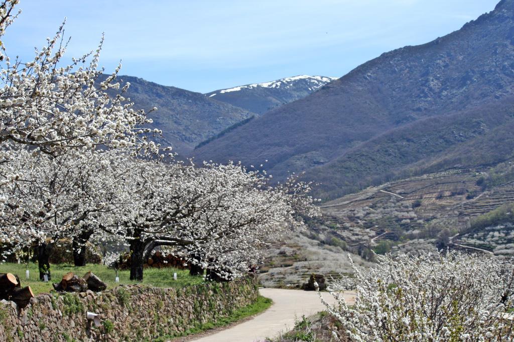 Finca El Carpintero Jerte Zewnętrze zdjęcie